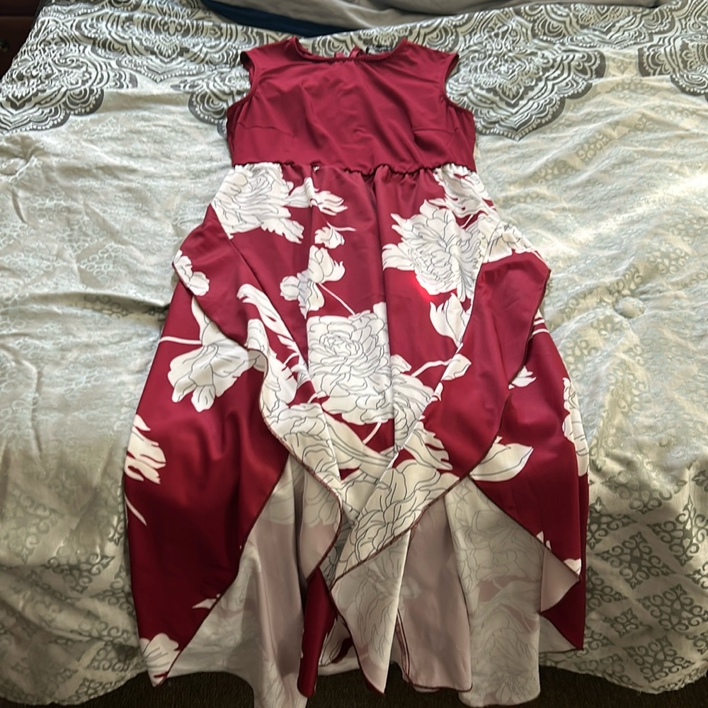 Women’s Dress Size L BNWOT